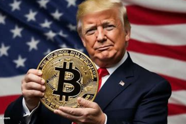 98687658