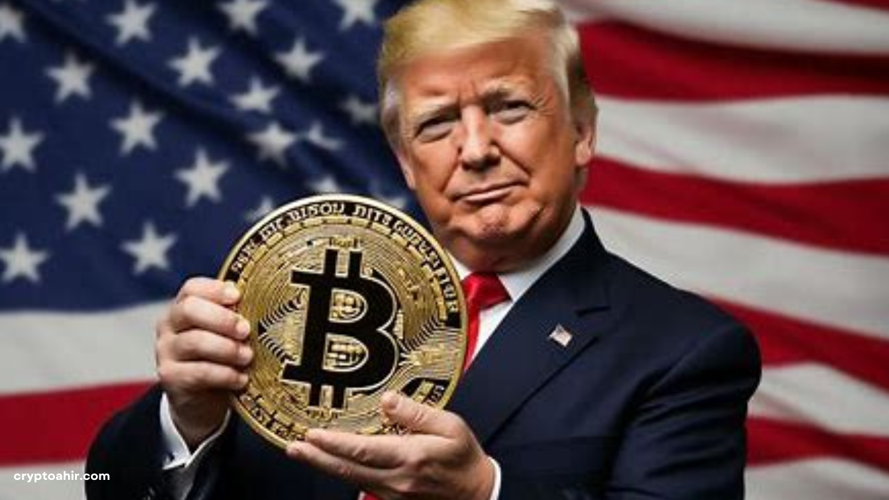 98687658